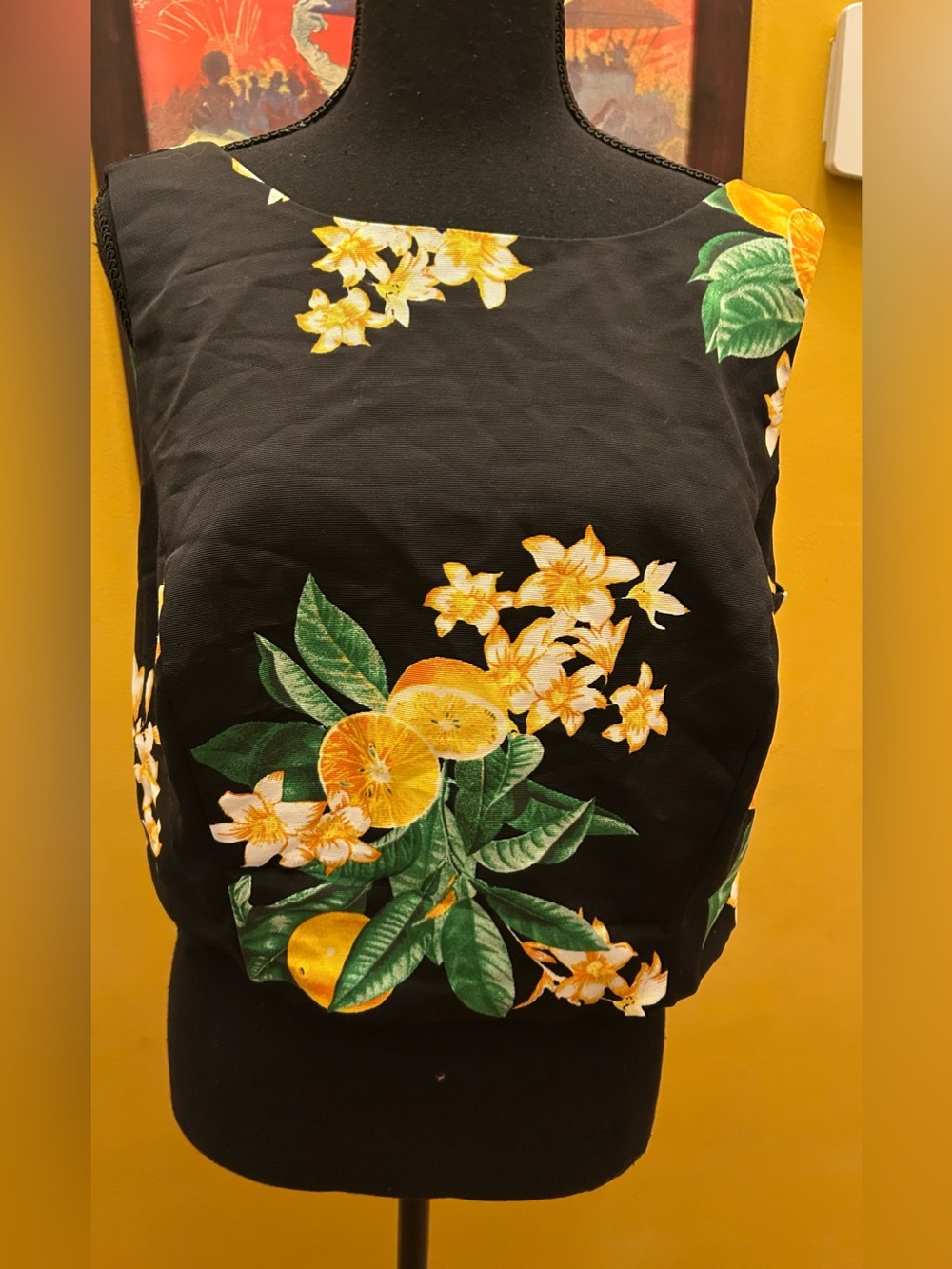 Eva Mendes New York and Company Lemon Print Back Zip Cropped Shell Blouse Size 1